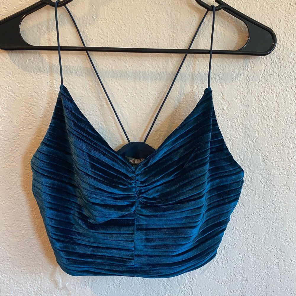 Wild Fable blue velvet crop top